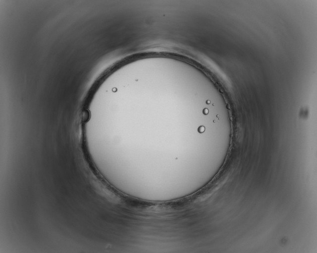 X0000101701368200807241422