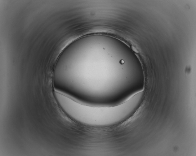 X0000101701369200807241422