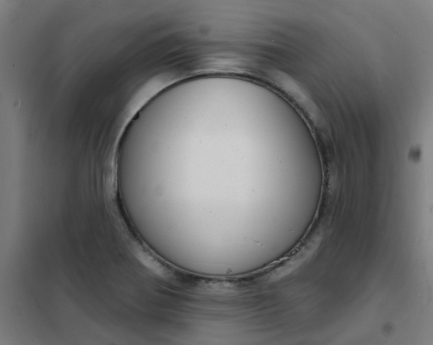 X0000101701370200807241422