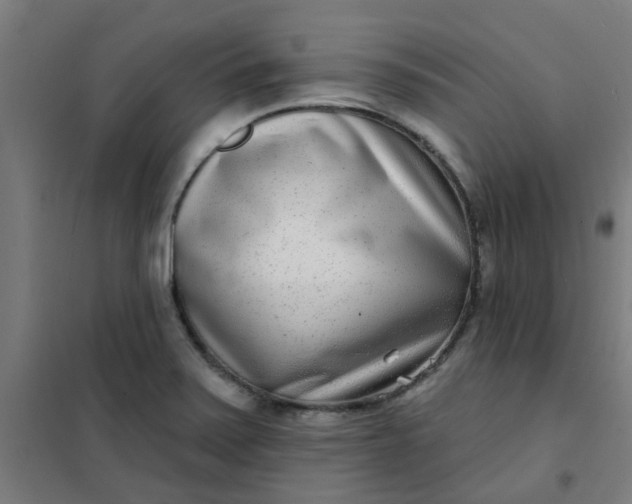 X0000101701371200807241422