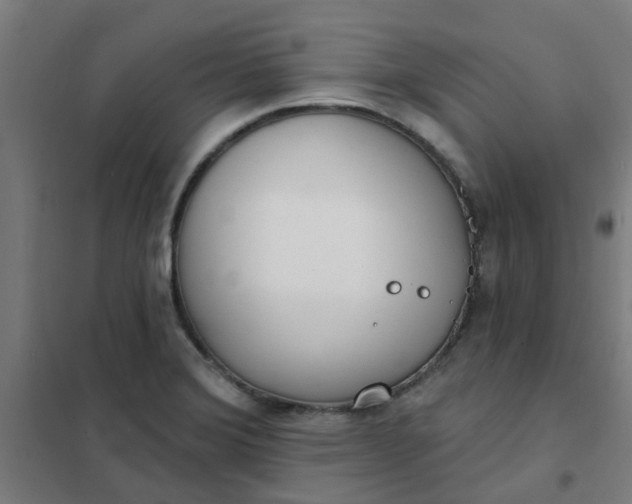 X0000101701372200807241422