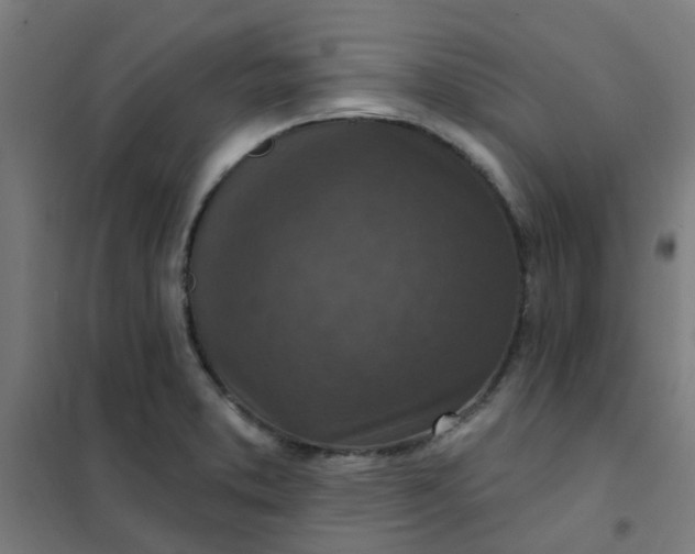 X0000101701373200807241422