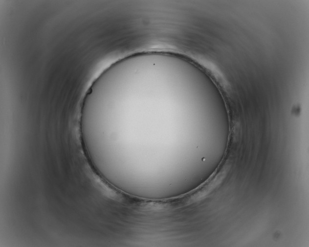 X0000101701374200807241422