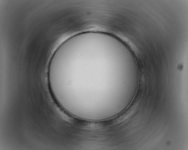 X0000101701375200807241422