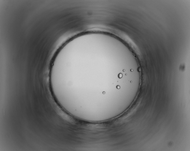 X0000101701376200807241422