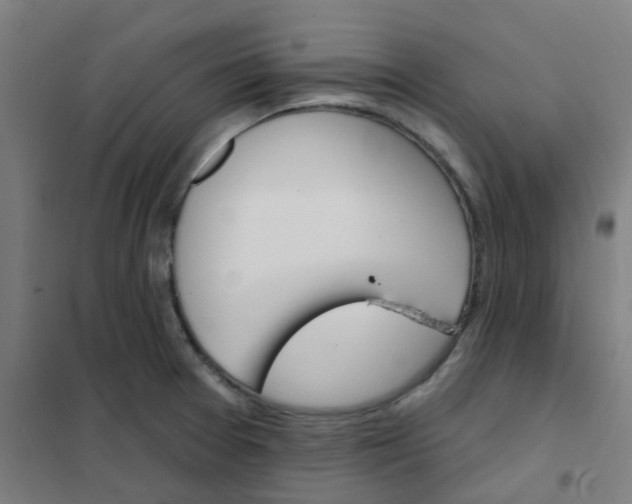 X0000101701377200807241422