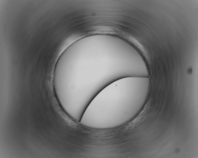 X0000101701378200807241422