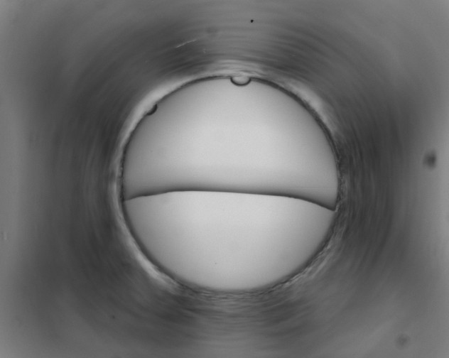 X0000101701379200807241422