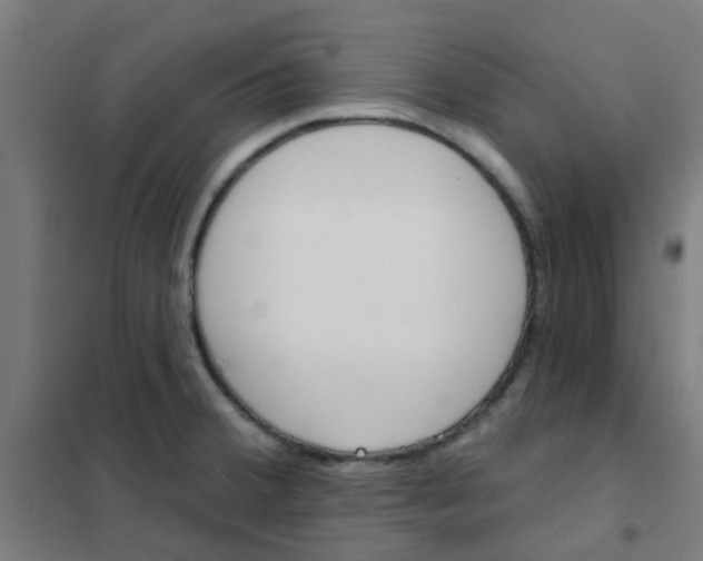 X0000101701380200807241422