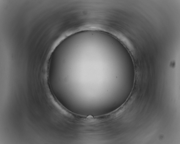 X0000101701382200807241422