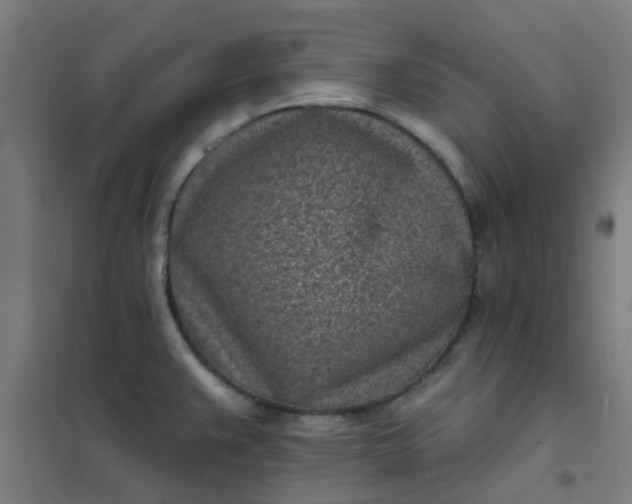 X0000101701383200807241422