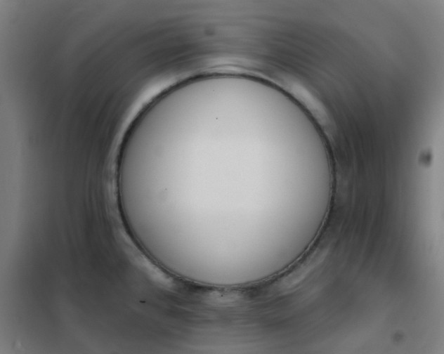 X0000101701384200807241422