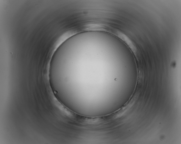 X0000101701386200807241422