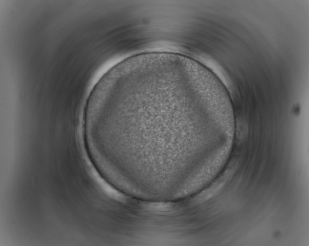 X0000101701387200807241422