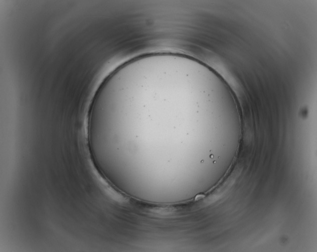 X0000101701388200807241422