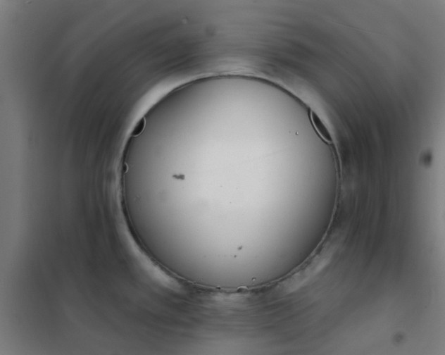 X0000101701389200807241421