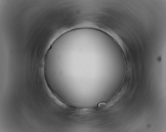 X0000101701390200807241421