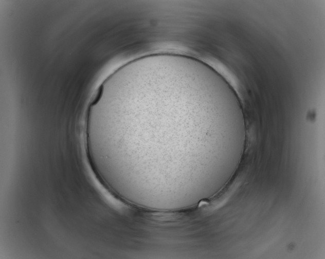 X0000101701391200807241421