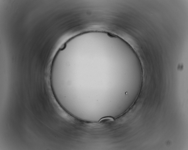 X0000101701392200807241421