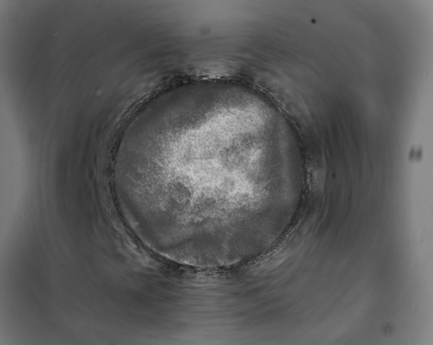 X0000101701393200807241421