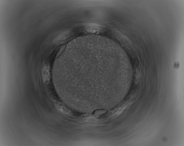 X0000101701394200807241421