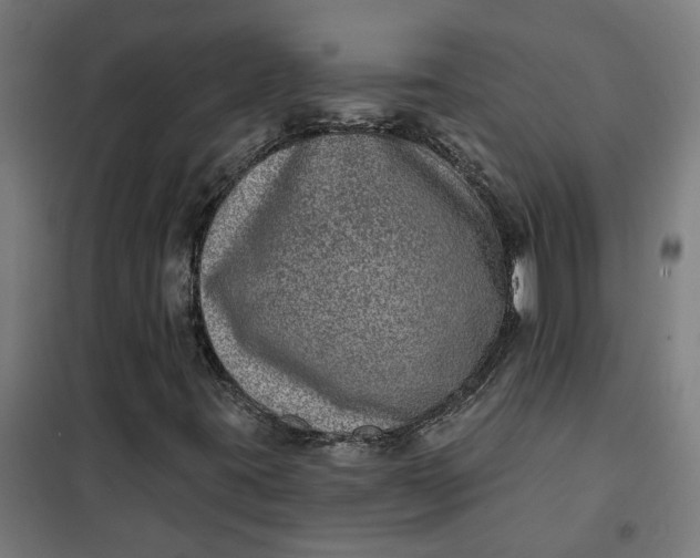 X0000101701395200807241421