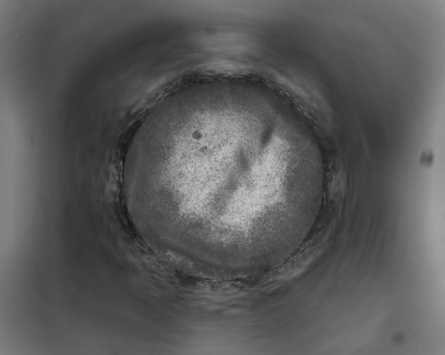 X0000101701397200807241421