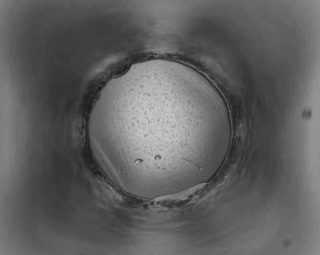 X0000101701398200807241421