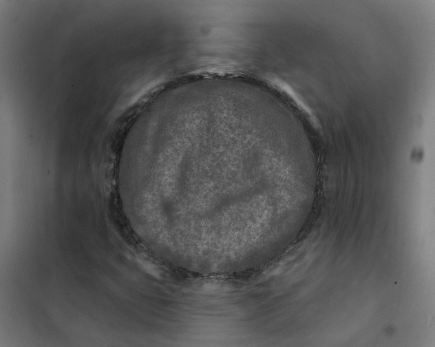 X0000101701399200807241421