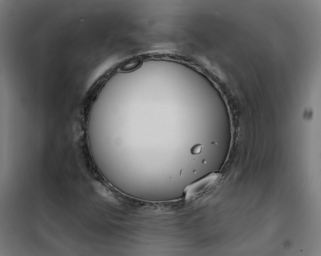 X0000101701400200807241421