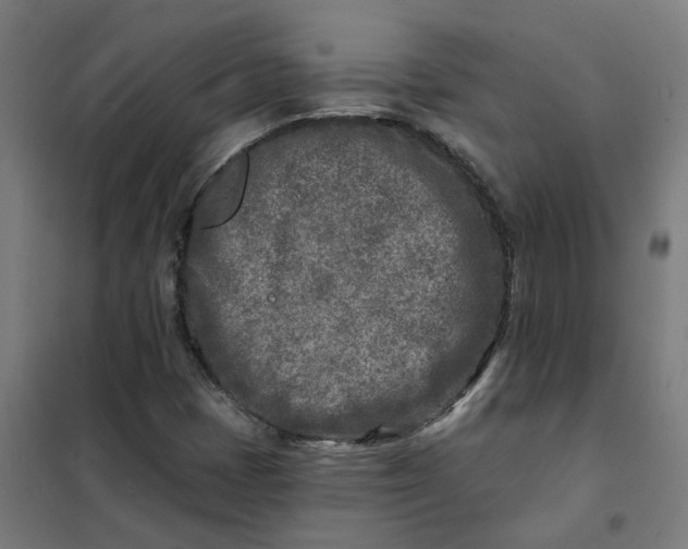 X0000101701401200807241421