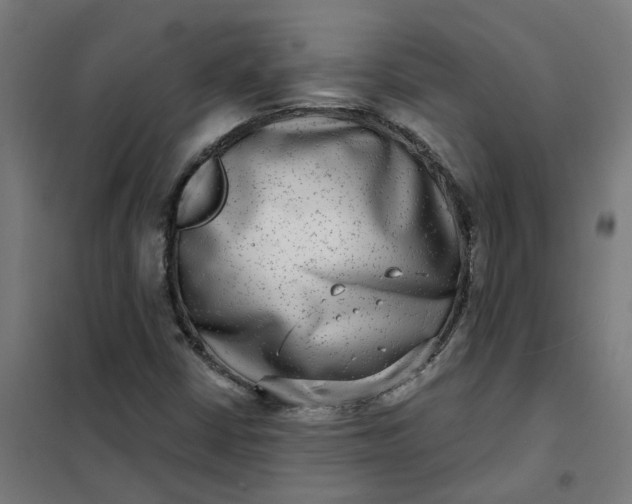 X0000101701402200807241421