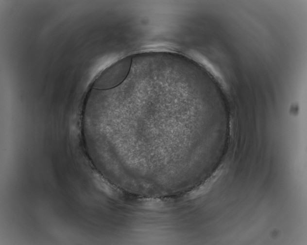 X0000101701405200807241421