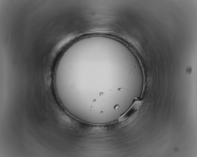 X0000101701406200807241421