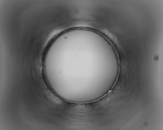 X0000101701408200807241421