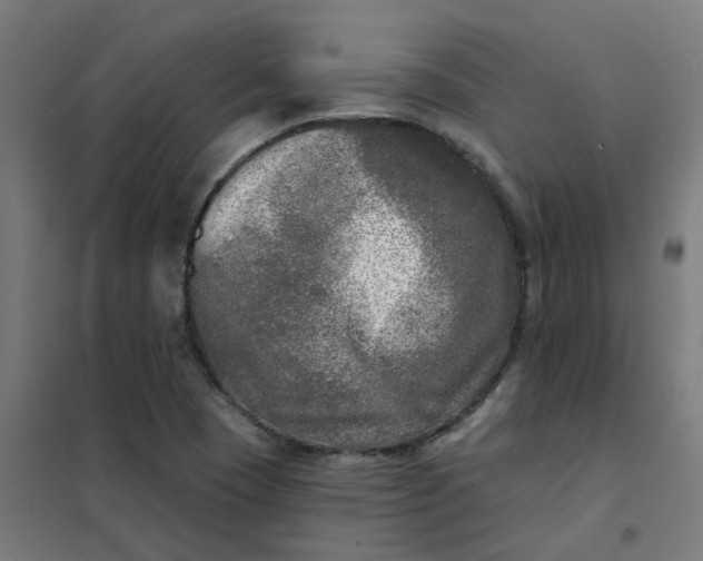 X0000101701409200807241421