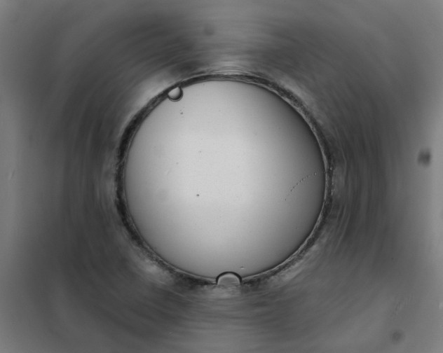 X0000101701410200807241421