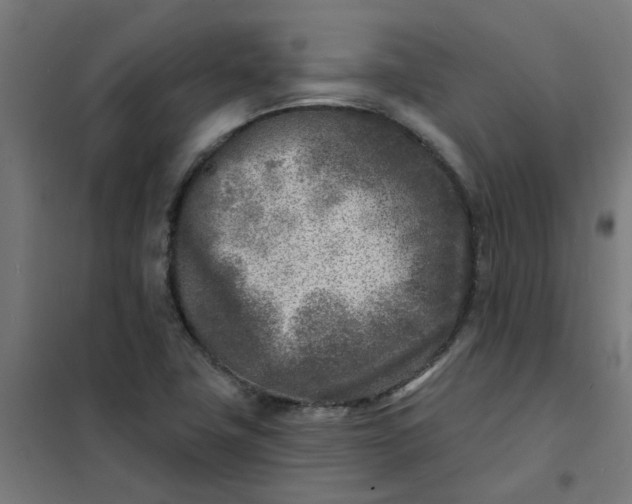 X0000101701411200807241421