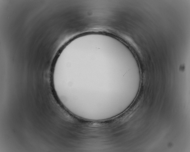 X0000101701412200807241421