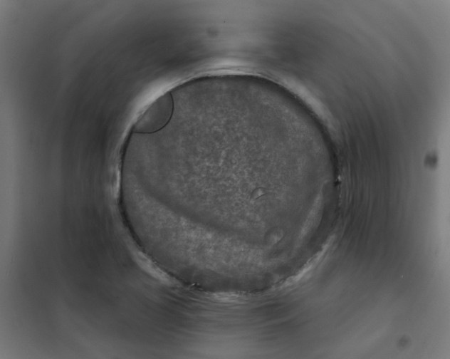 X0000101701413200807241421