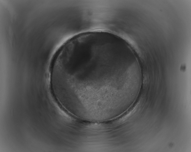 X0000101701414200807241421