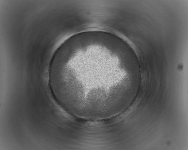 X0000101701415200807241421