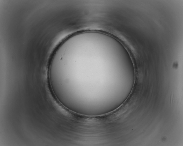 X0000101701416200807241421