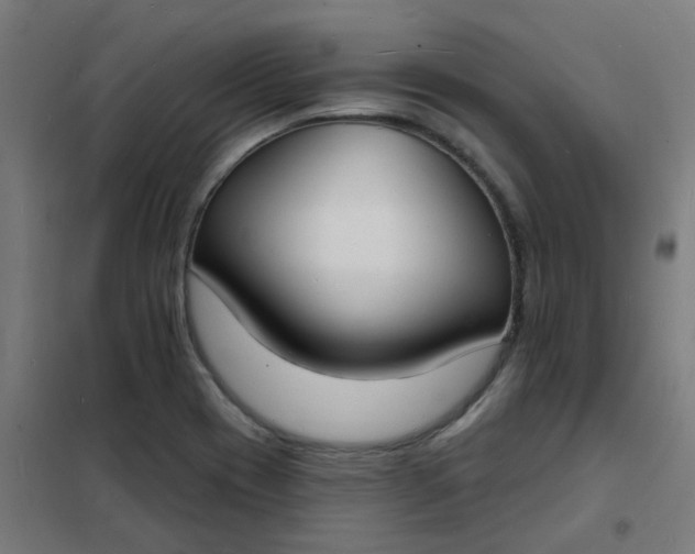 X0000101701417200807241421