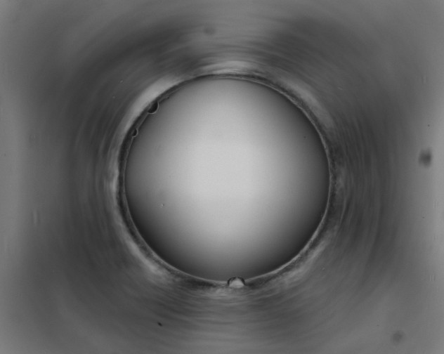 X0000101701418200807241421