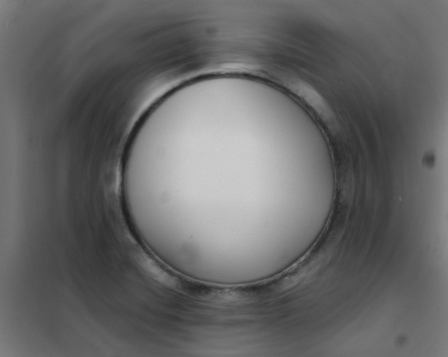 X0000101701420200807241421