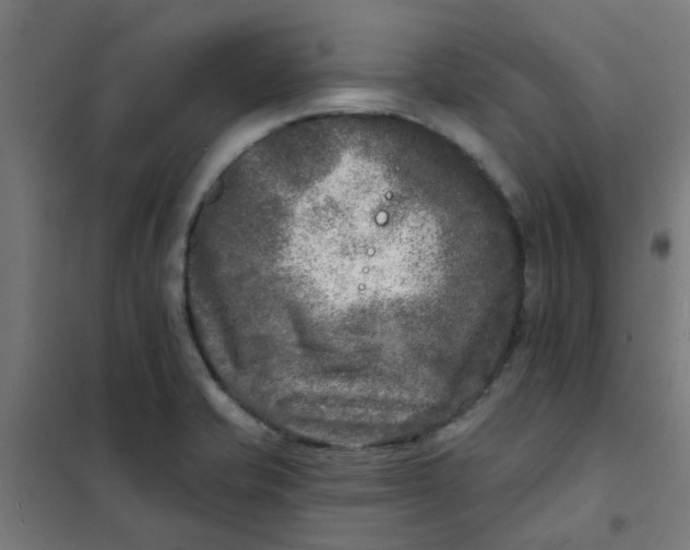 X0000101701421200807241421