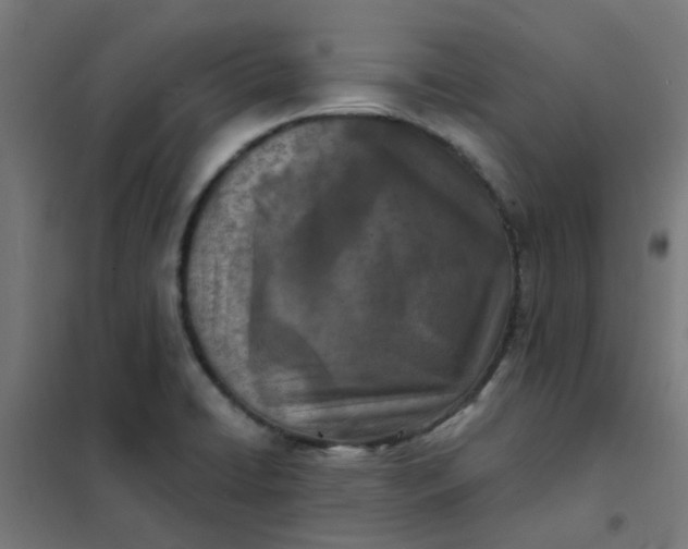 X0000101701422200807241421