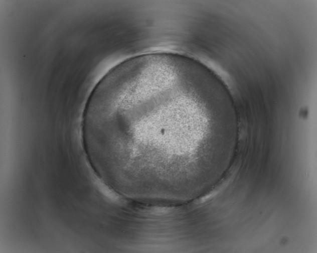 X0000101701423200807241421