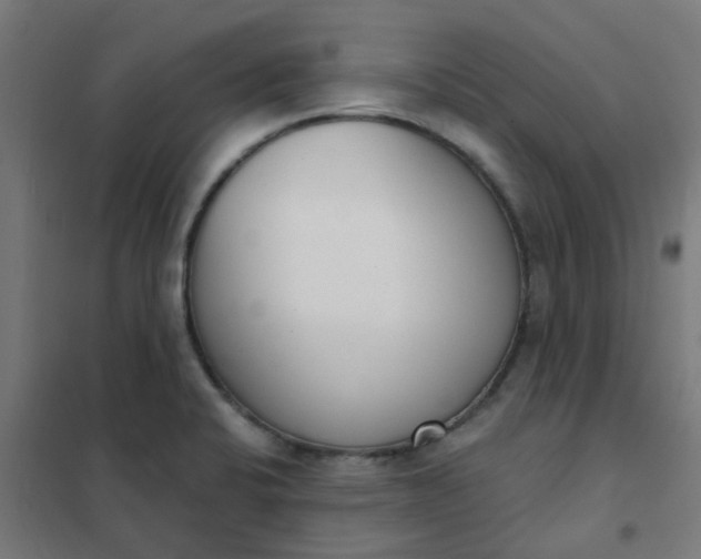 X0000101701424200807241421